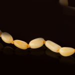 Amber Baby Teething Necklace - Olive Shape Beads BN012 - Image 2