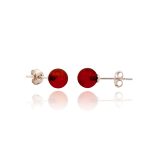 Amber Earrings Studs - 925 Sterling Silver EAR001