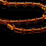 Islamic Muslim Tasbih Amber Prayer Beads - Capsule Beads IPB020 - Image 4